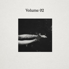 Duck House Tapes – Vol. Two