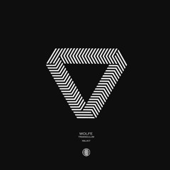 Wolfe - Triangulum (Original Mix) 160Kbps