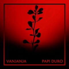 Vanjanja - Papi Duro