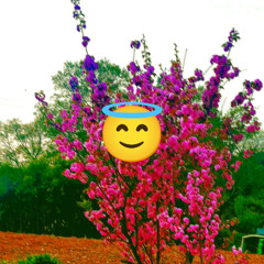 NIGHTFALL(PROD.GETTEMDOCCHI)