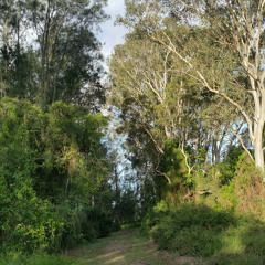 2020-12-29 Crystal Bowls in D minor