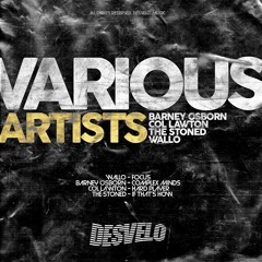 Wallo - Focus [Desvelo Music] [MI4L.com]