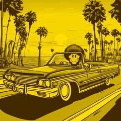 Acid Funk Avenue