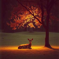 Sun Salutation – Zen Yoga Music