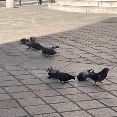 slippyy dj set @ l'été cafe paris 19/07/25