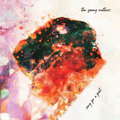 Song For a Poet (feat. Jawwaad Taylor, Stefan González, Jason Jackson, Jonathan F Horne, Frank Rosaly & Ingebrigt Håker Flaten)