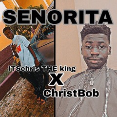 Stream ITSchris THE king music | Listen to songs, albums ...