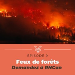 L'impact du changement climatique sur les feux de forêt (Demandez à RNCan)
