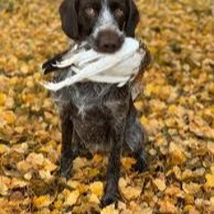 Sug Meg På Kuken (For min søte Kira)