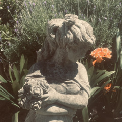 Wishing Well