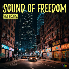 Vibe Freakz - Never Gonna