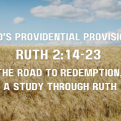 Gods Providential Provision Ruth 2:14-23   March 16, 2025