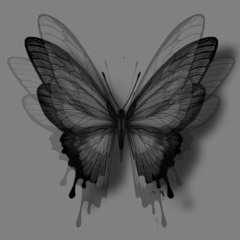 ✨️ القارئ حسين العزام ✨️