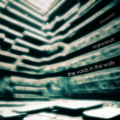 The Voids In The Walls [disquiet0607]