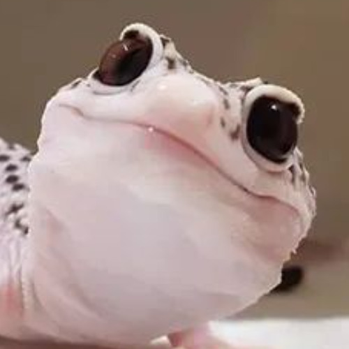 High Notes