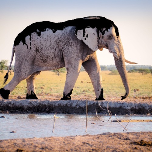 Das Öl bedroht die biologische Vielfalt und bringt existenzielle Not