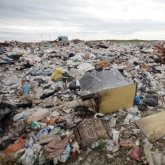 Tundra Thrash