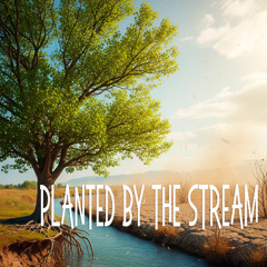 Planted By the Stream