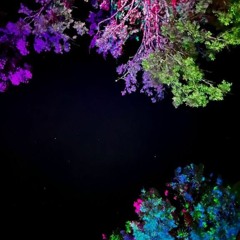 Messier 49    The Big Bang    Mettaway France May 2022