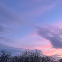 G M