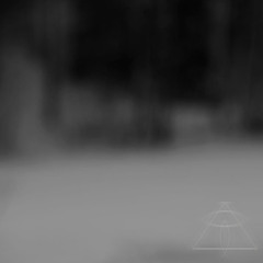 Organic shades - Skull Fracture