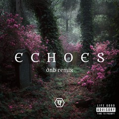 echoes (dnb remix)