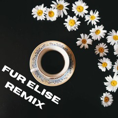 Beethoven - Für Elise (Elliot Remix) (9/12) (Original Mix)