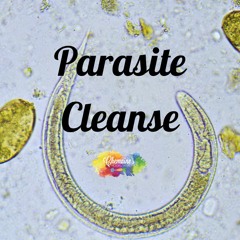 #275 How To Go About Doing A Parasite Cleanse.