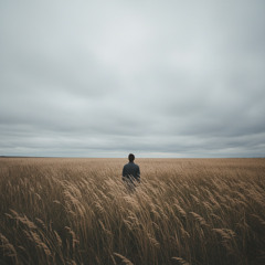 تلاوة بهية جميلة للقارئ ناصر القطامي