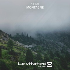 Montagne (Radio Mix)