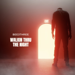 Bee3three- Walkn Thru The Night