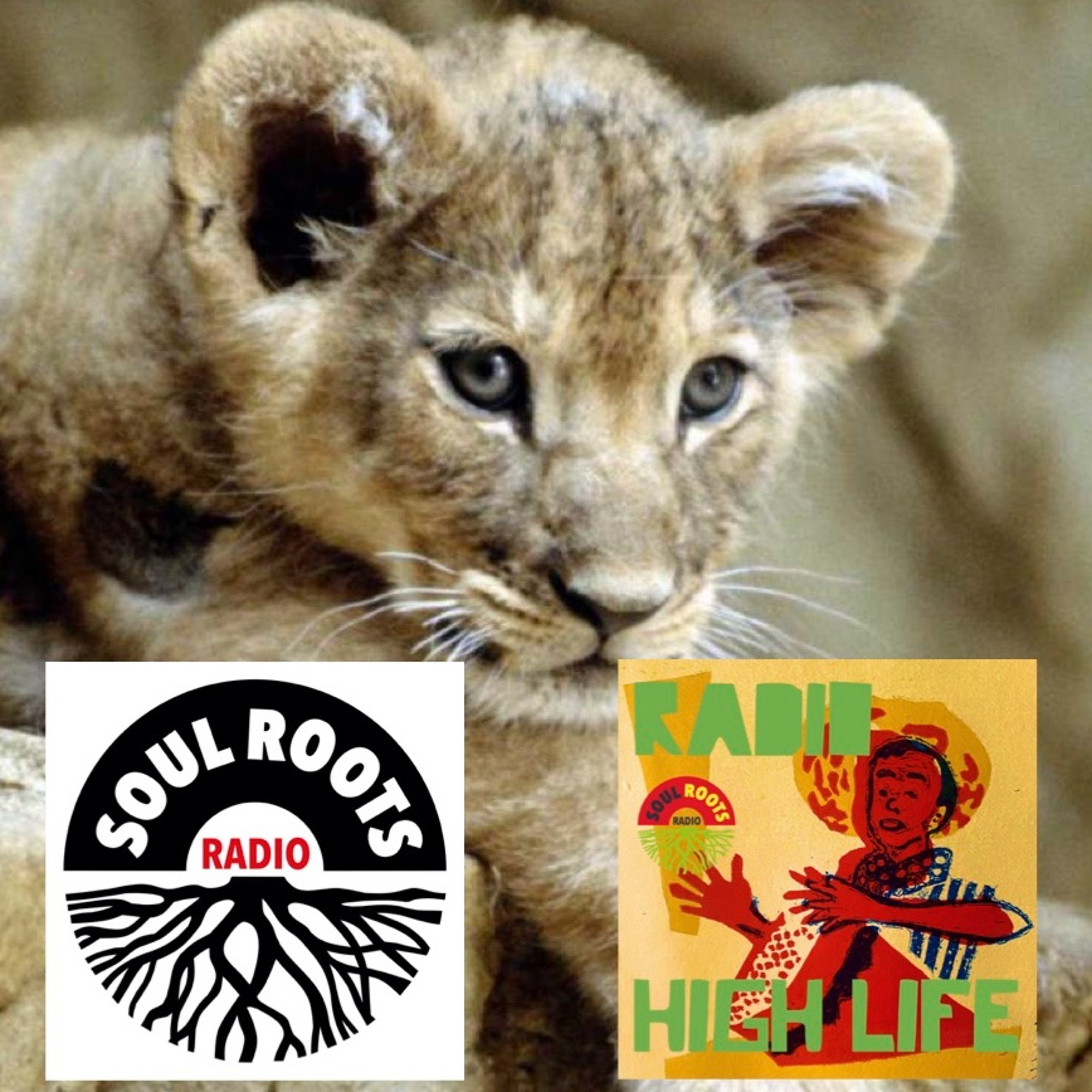 Radio High Life