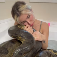 Original Full One Girl One Anaconda Online Leaks new video