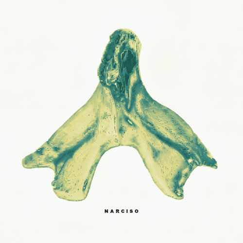Stream Narciso by Funeral In Furs | Listen online for free on SoundCloud