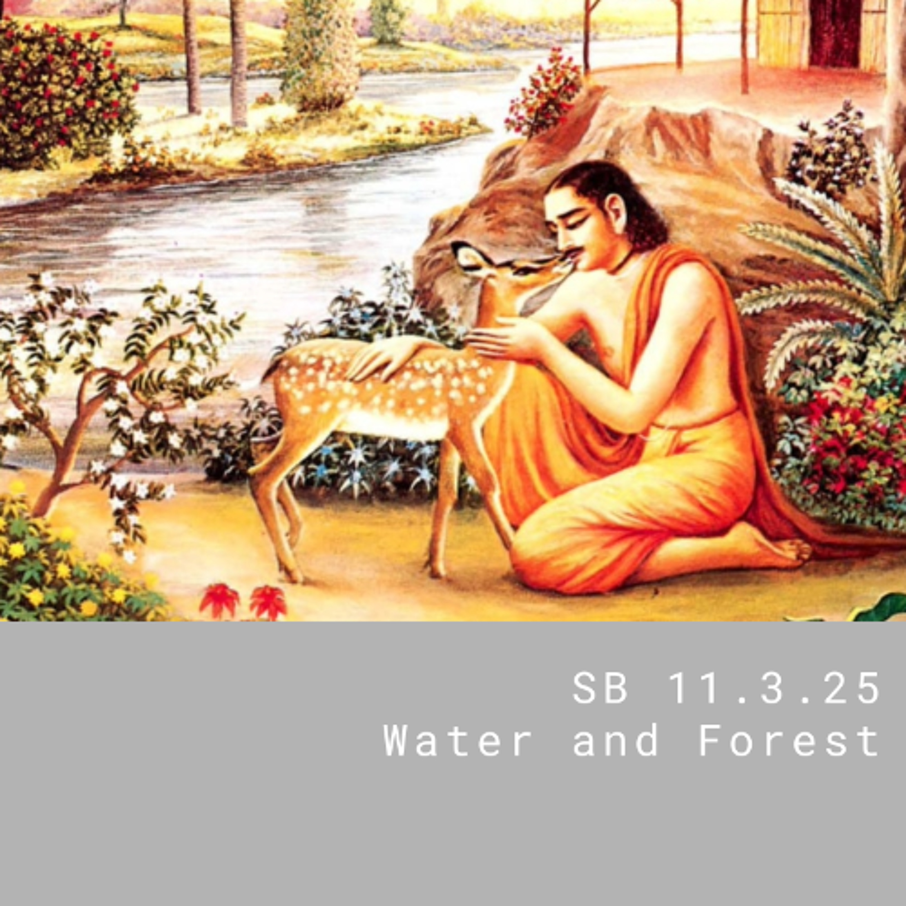 SB 11.3.25 Water and Forest episode artwork