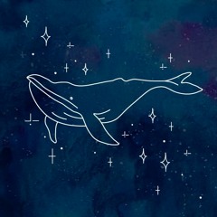 космический кит (sovergon cover)