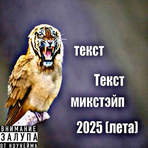 Прожектора