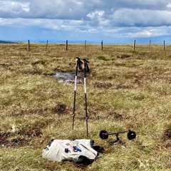 Windlestraw Law