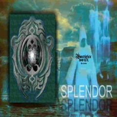 ST33LGAZ3 & OVERRATED - SPLENDOR