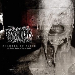 Chamber of Flesh (feat. Left To Suffer)