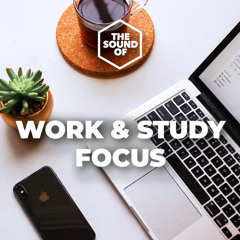 Work & Study Focus  (Home Office Classical)