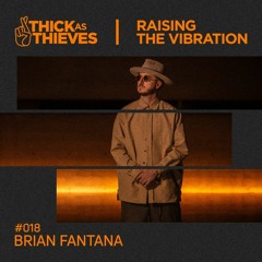 Raising the Vibration Mix #018 — BRIAN FANTANA