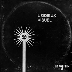 L'odieux visuel