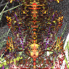 le bruit s’endort parfois