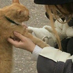 😸