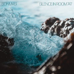 Silence In Room 747