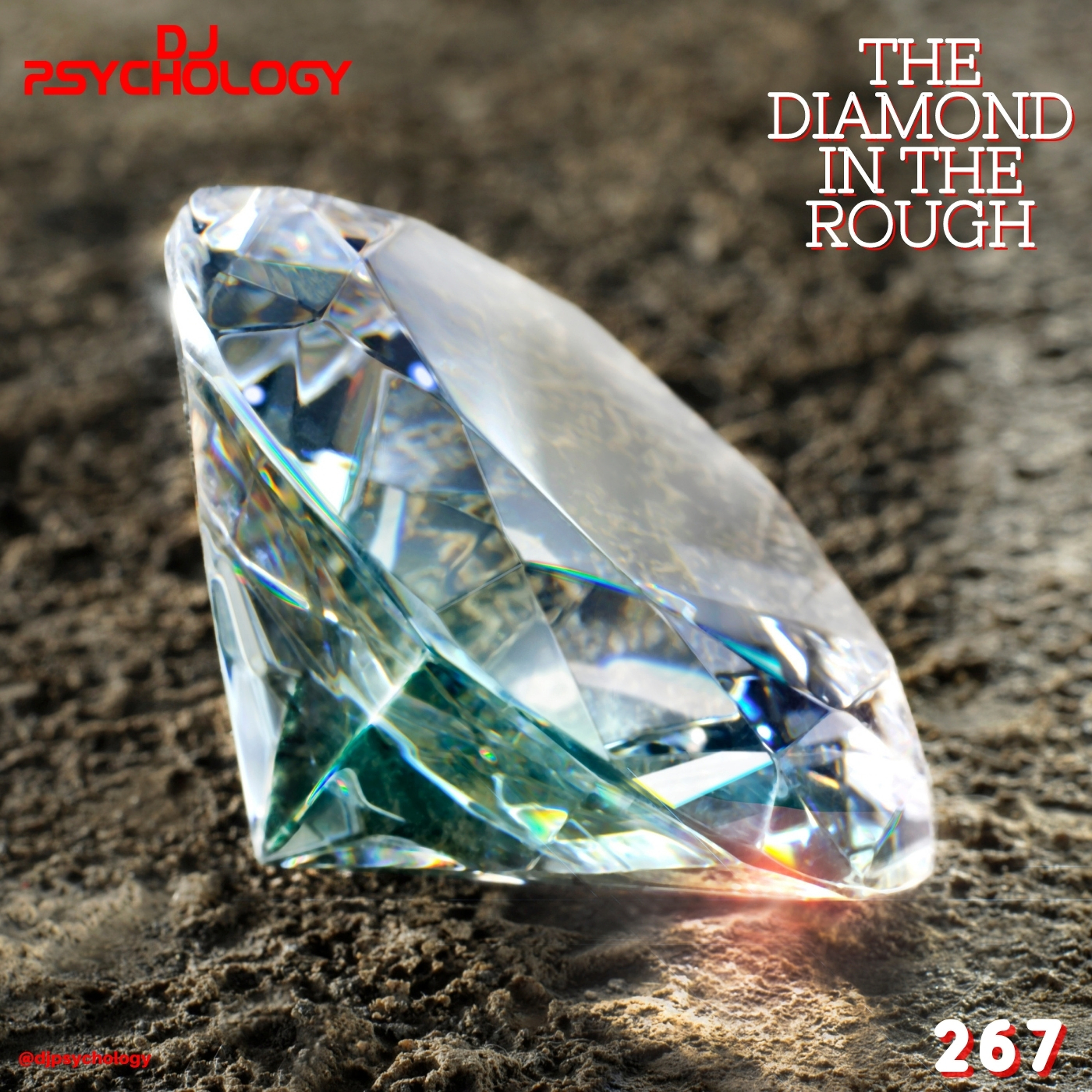 The Diamond In The Rough