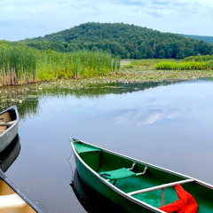 Amherst Wetlands Plea