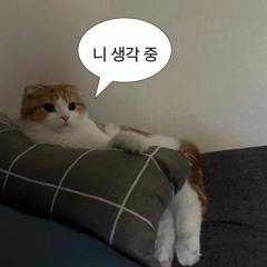 시간을 되돌려 (F. MINSEOL)