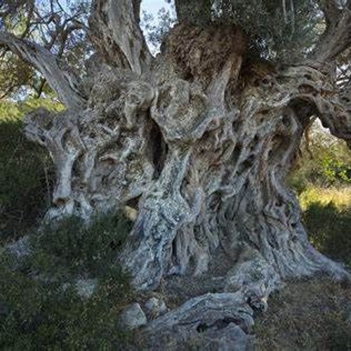 Anjunabeats In Ibiza 2019 (Continuous Mix) 432hz